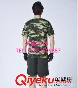 T恤/體能服 07體能服capf消防體能訓練衫短袖T恤套裝 透氣網眼吸汗夏季訓練衫原始圖片2