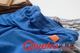 褲裝 藍狗家BD外貿童品 15年夏品兒童男女童純棉七分褲 沙灘褲中褲