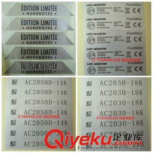 啞金啞銀標簽 貼紙 東莞鳳崗廠家供應(yīng) 啞銀龍貼紙 啞銀標簽 印CE 垃圾筒 LED燈常用