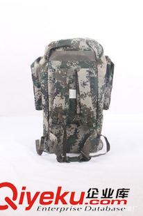 裝具包/攜行具 01B寒區/溫區攜行具 07叢林迷彩背包 登山雙肩包批發原始圖片3