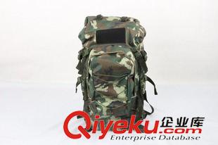 裝具包/攜行具 組合背包 雙肩戰(zhàn)術(shù)背登山包戶外包5井消防迷彩 多功能組合野營包