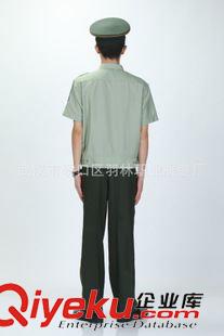 內(nèi)衛(wèi) zp07 內(nèi)衛(wèi) 短袖茄克夏季常服 干部 上衣 廠家直銷原始圖片3