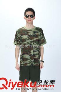 內(nèi)衛(wèi) zp07 內(nèi)衛(wèi) 短袖茄克夏季常服 干部 上衣 廠家直銷