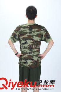 內(nèi)衛(wèi) zp07 體能服 內(nèi)衛(wèi) 短袖 夏 消防 軍迷  廠家直銷原始圖片3