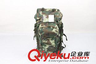 裝具包/攜行具 組合背包 雙肩戰(zhàn)術背登山包戶外包5井消防迷彩 多功能組合野營包原始圖片2