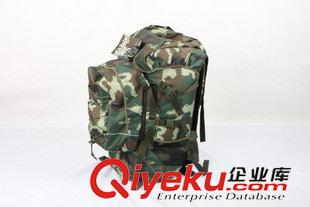 裝具包/攜行具 組合背包 雙肩戰(zhàn)術背登山包戶外包5井消防迷彩 多功能組合野營包原始圖片3