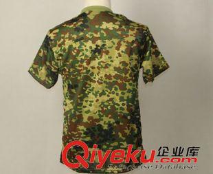 國內花型T恤 01體能訓練服上衣 zp 01體能訓練服原始圖片3