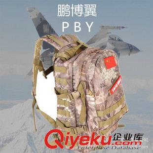 戶外雙肩包 鵬博翼荒漠迷彩3D雙肩包荒漠蟒紋戶外山地雙肩包電腦包 一件代發原始圖片2