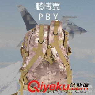 戶外雙肩包 鵬博翼荒漠迷彩3D雙肩包荒漠蟒紋戶外山地雙肩包電腦包 一件代發原始圖片3