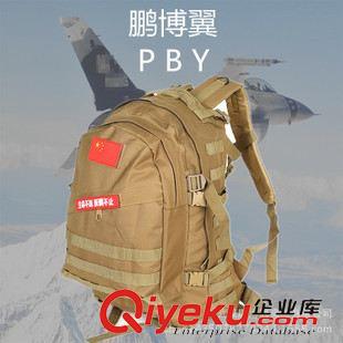 戶外雙肩包 廠家現(xiàn)貨沙色迷彩雙肩包 迷彩戰(zhàn)術(shù)背包 戶外登山軍迷包 3D背包原始圖片2