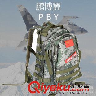 戶(hù)外雙肩包 鵬博翼07數(shù)碼叢林迷彩戶(hù)外雙肩包45L雙肩包防水旅游包  一件代發(fā)