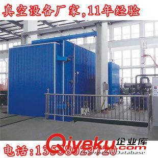 真空干燥設備 大型真空干燥箱 真空干燥真空注油一體