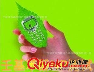 壬基苯酚NP 提供壬基苯酚測(cè)試，壬基酚NP測(cè)試原始圖片2