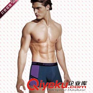 金盾 2015新款 金盾男士休閑百搭透氣柔軟春夏款男士平角內(nèi)褲3868