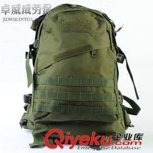 運(yùn)動(dòng)背包 廠家批發(fā)精品防水戶外登山包 休閑雙肩包 大容量旅行包 學(xué)生背包