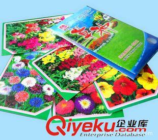 面膜復(fù)合包裝袋 廠家定制15*30cm opp膠印種子包裝袋 、銅版紙復(fù)合塑料包裝袋原始圖片2