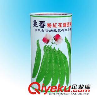 馬口鐵扣接圓罐 供應(yīng)網(wǎng)球鐵罐/禮品馬口鐵罐/空白鐵罐 寵物食品包裝罐