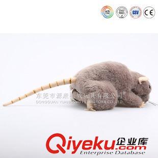 YK2-1鼠 新款歐美會說話會跳舞的倉鼠公仔 機(jī)芯毛絨玩具公仔 電動老鼠玩具原始圖片3