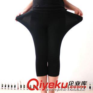 女式打底褲運(yùn)動(dòng)褲 2015新款加肥打底褲顯瘦高彈大碼七分褲莫代爾7分褲淘寶zg原始圖片2