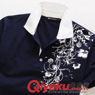 短袖套装 2014夏季新品 棉质男式套装休闲百搭