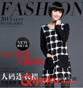 第八期 2015時尚新款大碼女裝胖mm顯瘦修身方格口袋拼接長袖連衣裙女潮原始圖片2