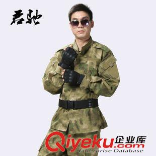 外軍迷彩服 在線批發(fā) ACU LE CP多色美軍迷彩服  特種兵專用外軍迷彩服套裝原始圖片3