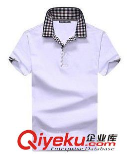    男T恤 一件代發(fā)新品2015夏季新款 男式運(yùn)動(dòng)商務(wù)圓領(lǐng)短袖T恤 男短袖T恤