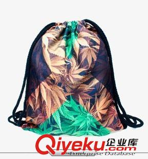 3D數(shù)碼印花束口袋 拉繩袋背包 3d雙肩包 3d束口袋環(huán)保袋收納袋購物袋