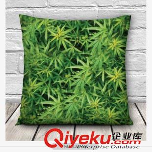 3D數(shù)碼印花抱枕 速賣通熱賣廠家直銷數(shù)碼印花3D時尚圖案滌棉抱枕靠墊腰靠頭枕套