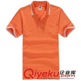 翻領(lǐng)短袖t恤 2015夏季新款男式短袖t恤衫休閑t恤廣告衫間色領(lǐng)團(tuán)體服文化衫定制原始圖片2