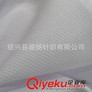 抗靜電 抗黃 廠家直銷 全滌柔軟鳥眼網布 騎行服針織面料 吸汗速干透氣T恤面料原始圖片2