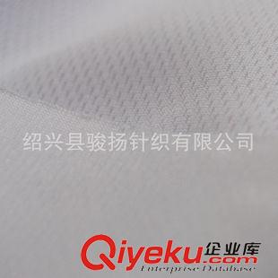 抗靜電 抗黃 廠家直銷 全滌柔軟鳥眼網布 騎行服針織面料 吸汗速干透氣T恤面料原始圖片3