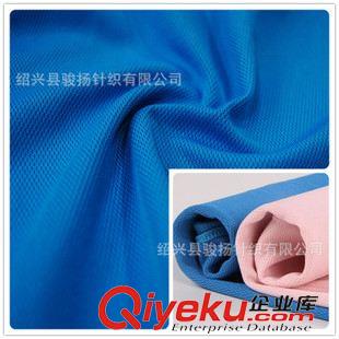 后處理吸汗速干 廠家直銷(xiāo) 全滌柔軟鳥(niǎo)眼網(wǎng)布 騎行服針織面料 吸汗速干透氣T恤面料