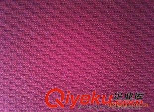 后處理吸汗速干 150D48F 全滌小鳥眼針織布原始圖片2