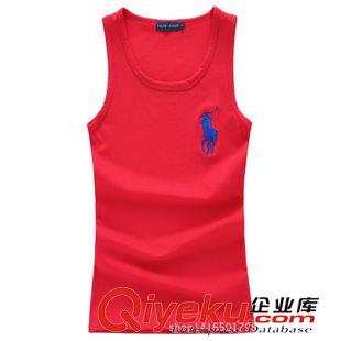 短袖T恤 批發(fā)時(shí)尚品牌個(gè)性女款彈力純棉小背心 圓領(lǐng)刺繡大馬標(biāo)運(yùn)動(dòng)打底衫原始圖片3