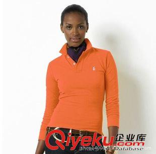 長袖POLO衫 廠家直供女裝外貿品牌新款刺繡純色PL衫 純棉女翻領長袖T恤原始圖片2