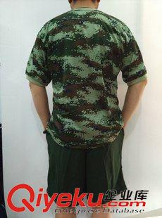 軍訓(xùn)用品 07迷彩T恤 戶外套裝軍訓(xùn)服裝 陸軍半袖短褲 滌棉網(wǎng)眼 廠家直銷原始圖片3