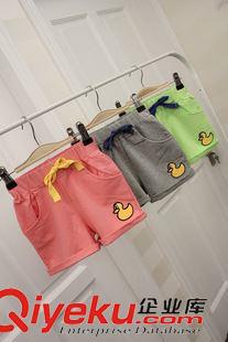 BABY 現貨 PANCOAT大黃鴨童褲 氨綸毛圈 休閑短褲 中小童
