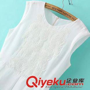 6月28號(hào)更新 #ZE1 歐美風(fēng) 刺繡純色連衣裙批發(fā) 1698原始圖片3