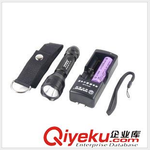 救生用品 廠家直銷(xiāo) 夜貓強(qiáng)光手電筒 戶外迷你家用充電遠(yuǎn)射 騎行手電