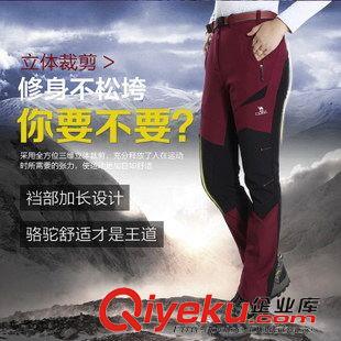 Camel/駱駝 外貿(mào)男士軟殼沖鋒褲拼色加絨加厚防風(fēng)保曖戶外休閑登山褲一件代發(fā)