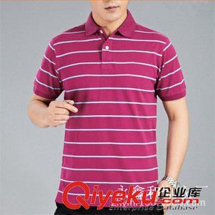 男式POLO衫 2015夏季新品上衣 翻領(lǐng)中老年純棉男式短袖T恤 大碼條紋男士T恤