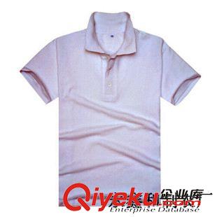男式POLO衫 廠家專業(yè)訂做2015男士夏裝新品短袖t恤翻領(lǐng)夏季男式修身商務(wù)男裝