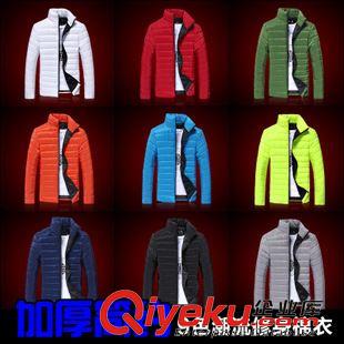 棉服 tj批發(fā) 15冬裝男士棉衣簡約保暖 羽絨棉服 修身立領(lǐng)九色棉衣原始圖片2