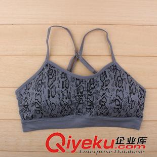 無縫文胸，運動文胸 美國沃爾瑪 女士印花吊帶文胸 調節肩帶 帶胸墊吊帶 瑜伽運動文胸原始圖片3