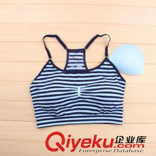 無(wú)縫文胸，運(yùn)動(dòng)文胸 tj法國(guó)原單 女士亮光絲雙層運(yùn)動(dòng)文胸 加大碼媽咪孕婦速干內(nèi)衣