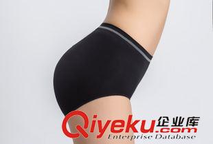 新品上架 cdj出口ELLENTRACY原單女士無(wú)縫低腰腰邊橫條少女三角褲/內(nèi)褲