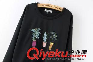 9月29號 周二上新 DB2015秋季新款歐美大牌女裝刺繡印花長袖套頭衛(wèi)衣休閑修身上衣潮原始圖片3