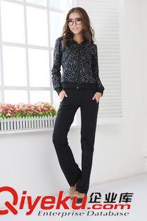 秋冬套裝 廠家直銷怡蓮興2013新款女式休閑套裝連帽棉套裝原始圖片2