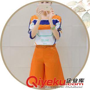 8月1日 實拍2015秋特韓國代購浪漫惹人愛毛絨開叉高領舒適毛衣色